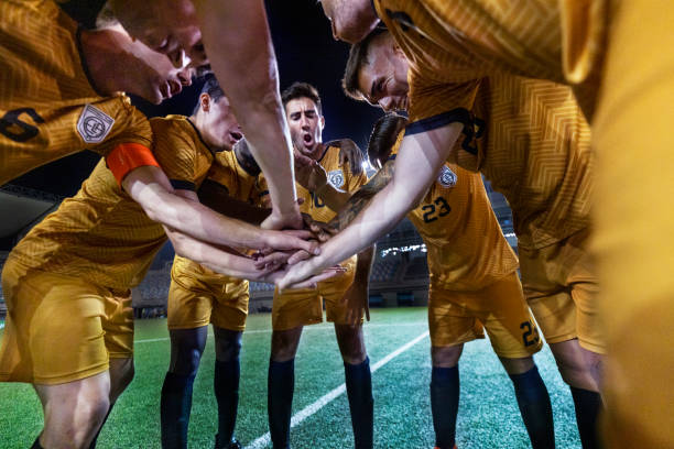 的精神是不 的精神是不